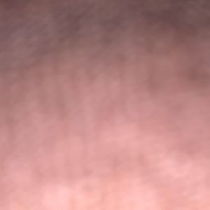 Meet your Posher, Anyonymous